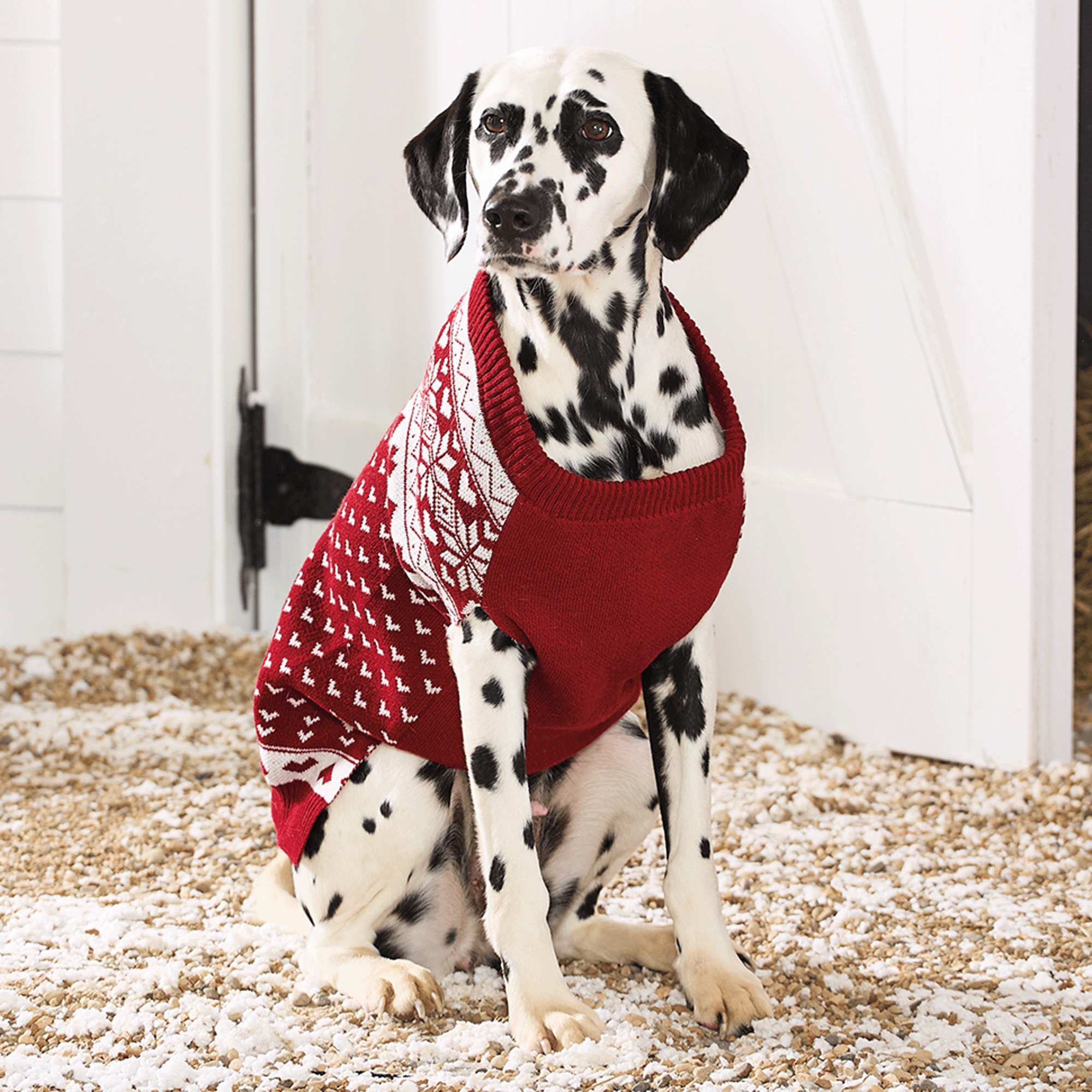 Personalized Heart Argyle Pet Sweater
