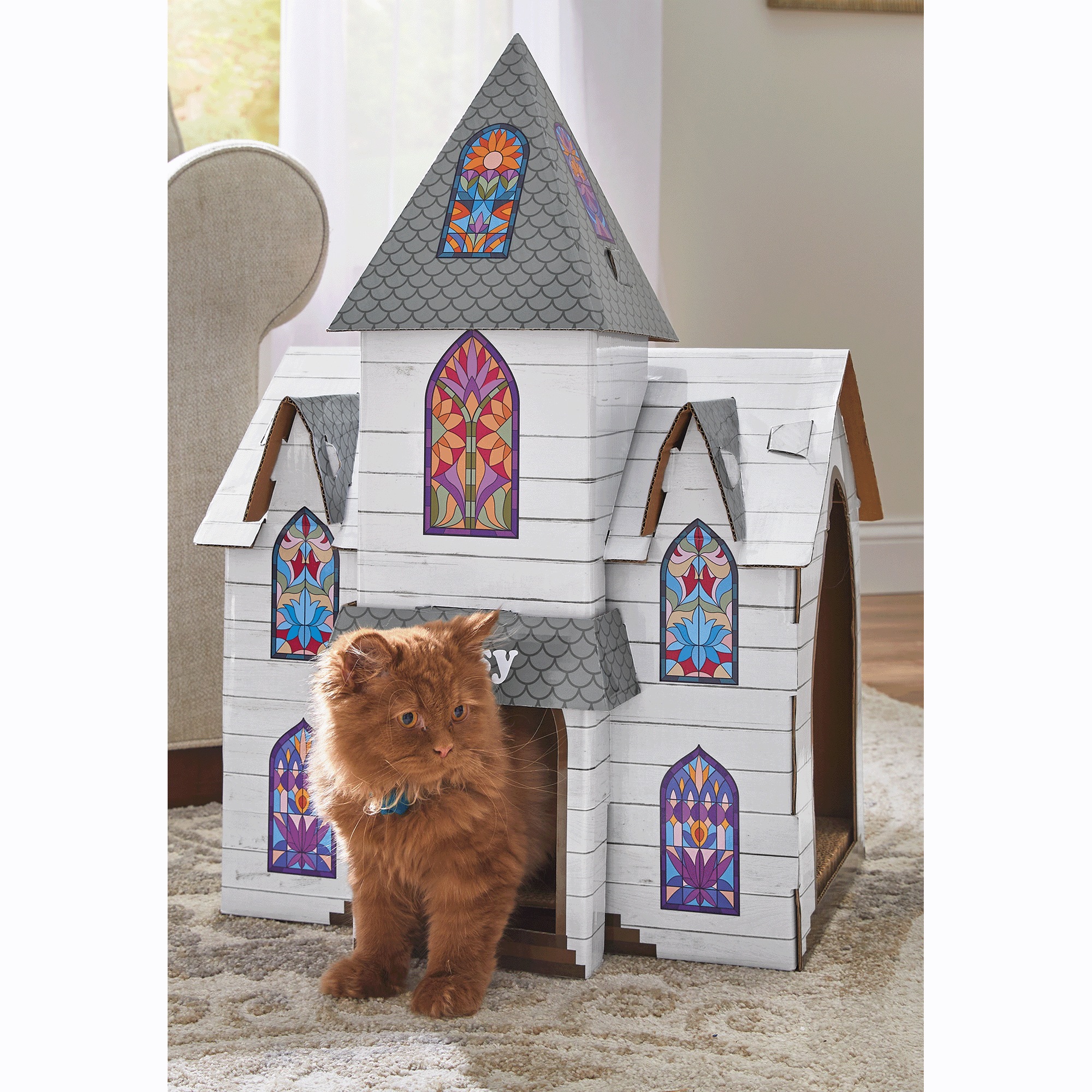 Cardboard Cat Church