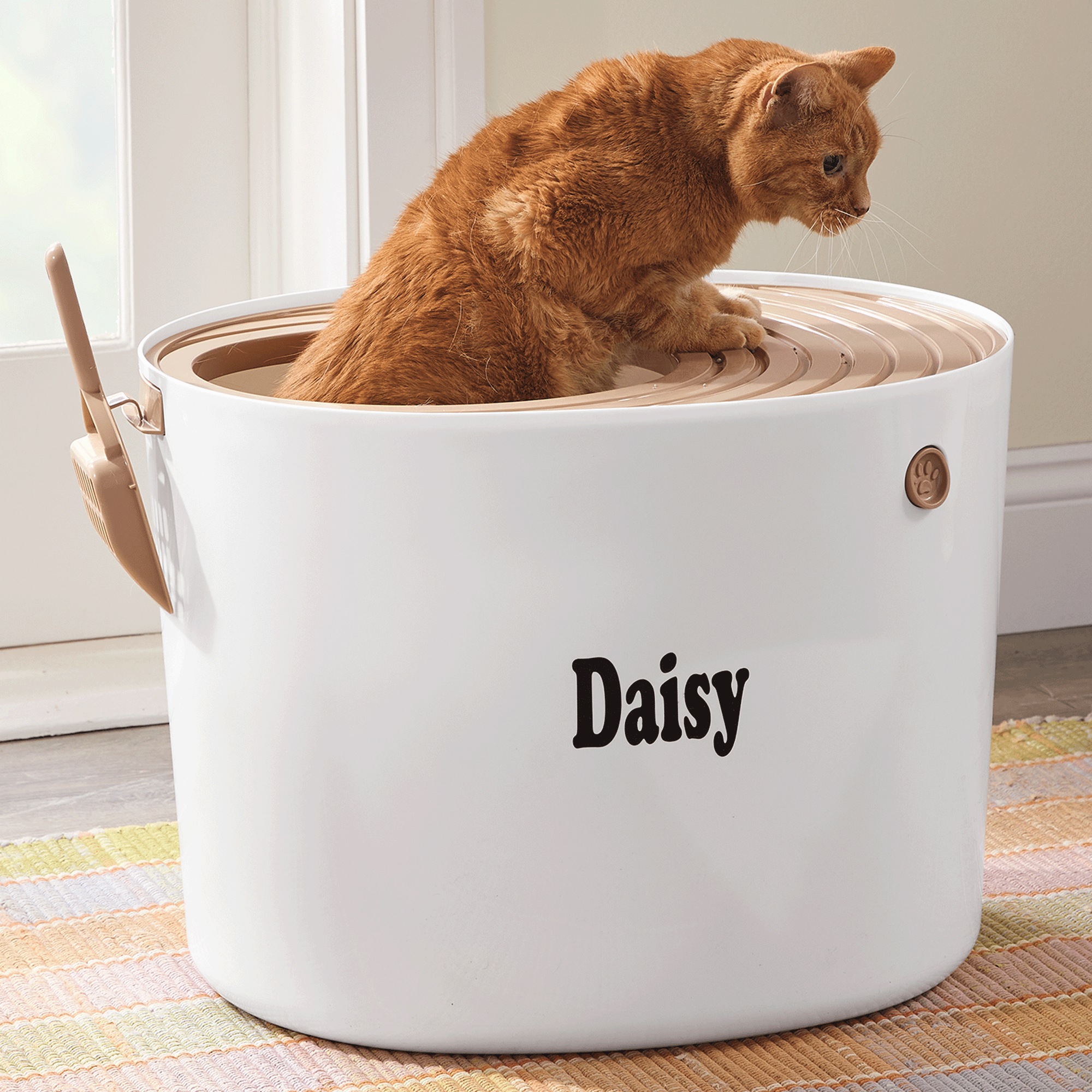 Iris Top-Entry Litter Box
