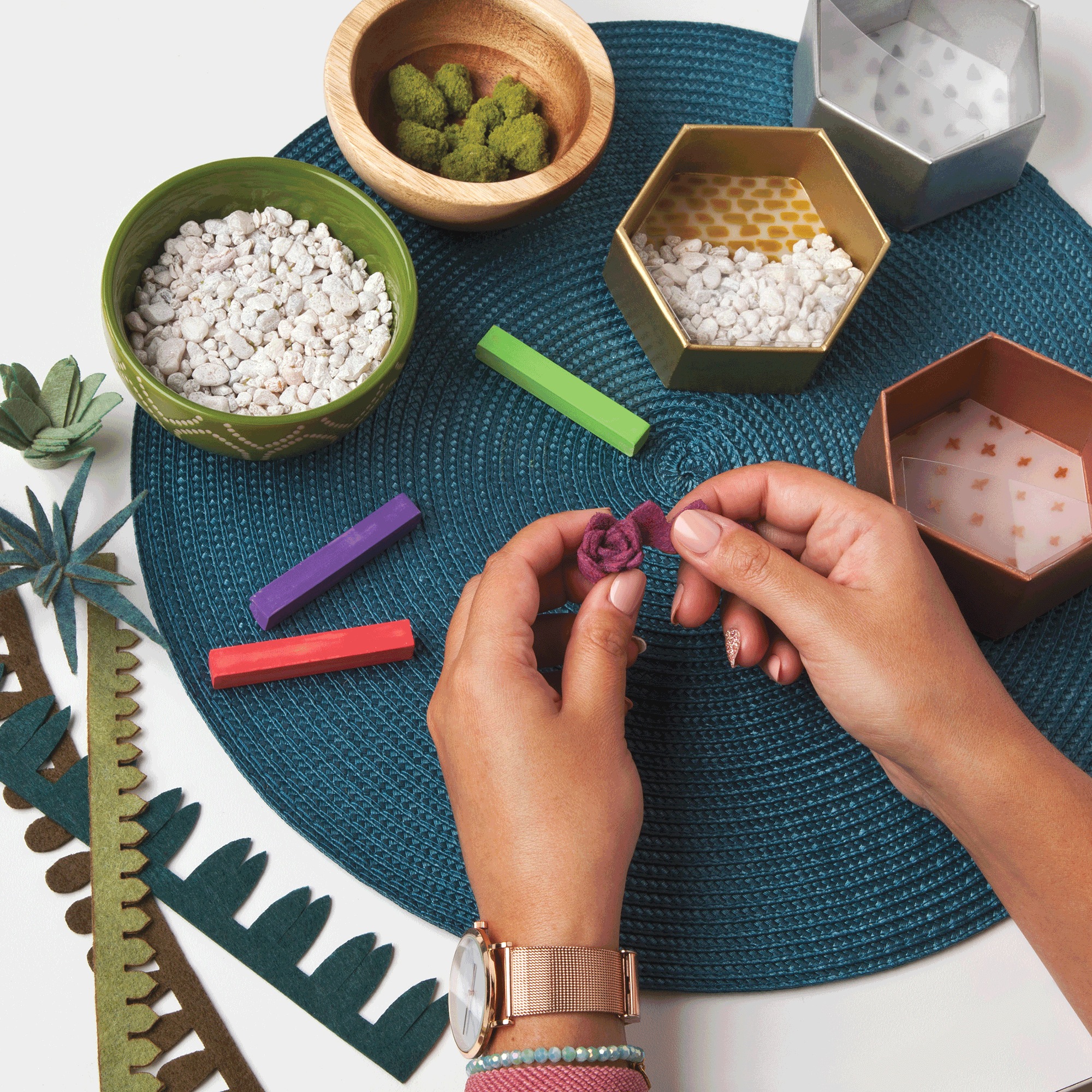 Craft Crush Mini Terrariums Kit