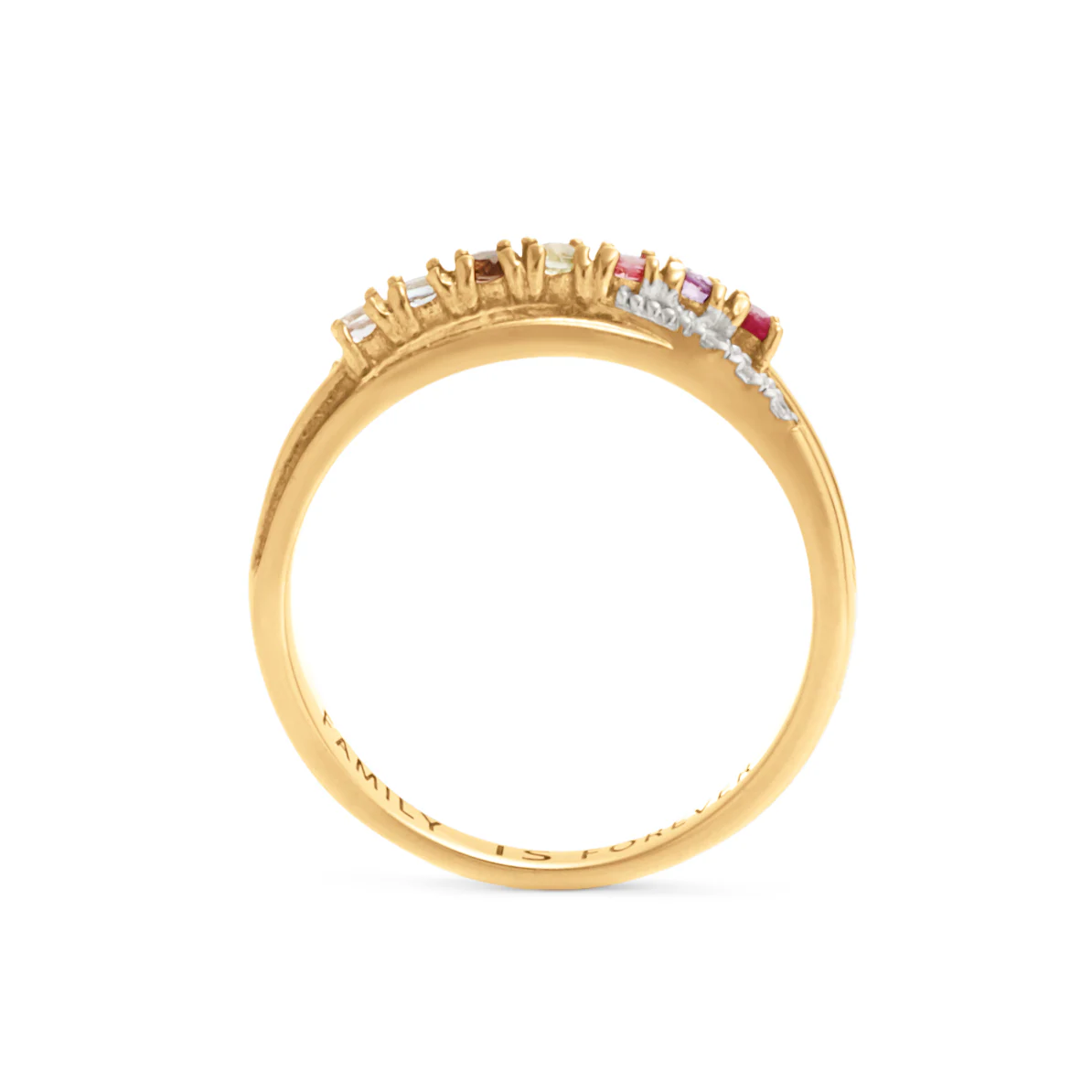 Birthstone/Family Crossover Ring