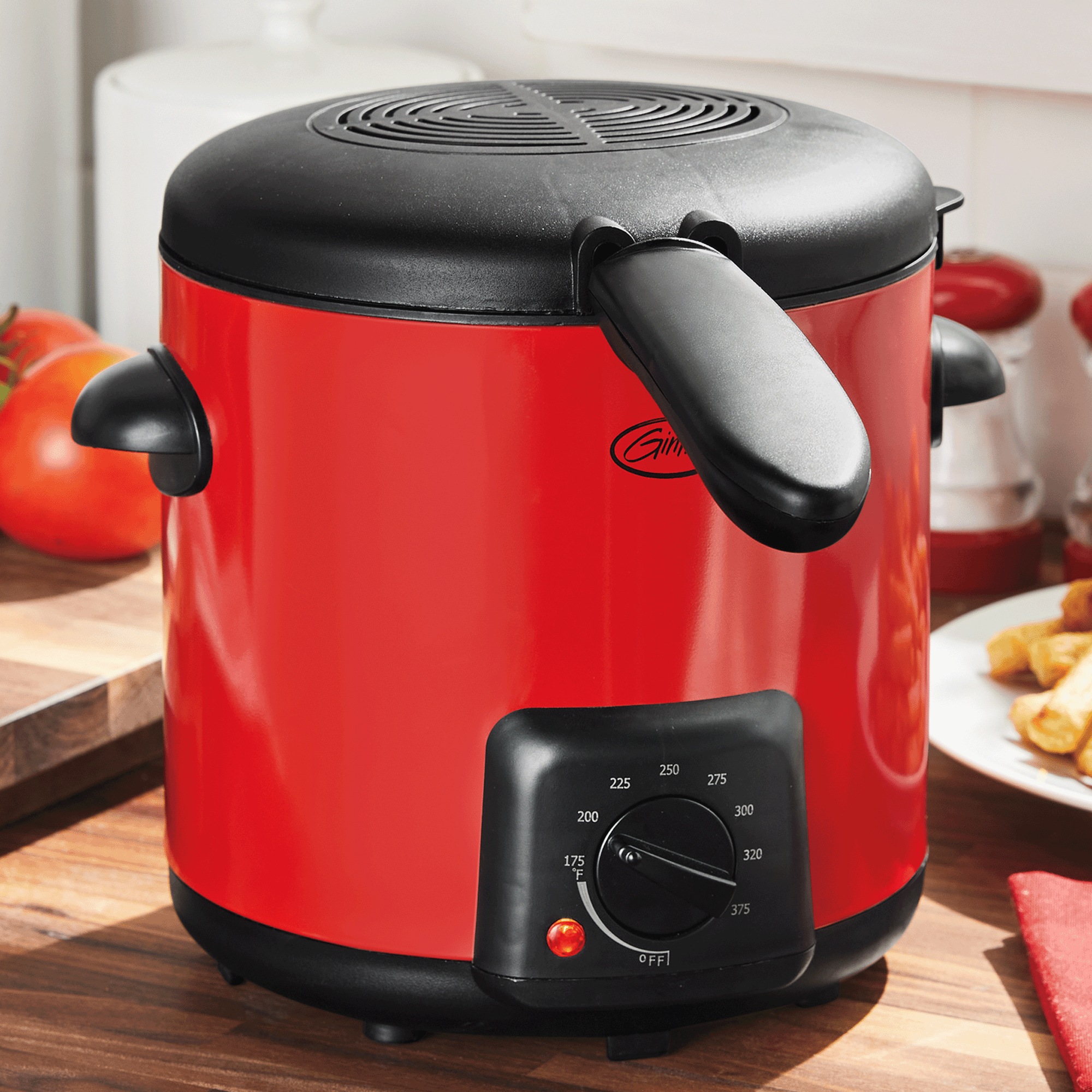 Ginny's Mini Deep Fryer