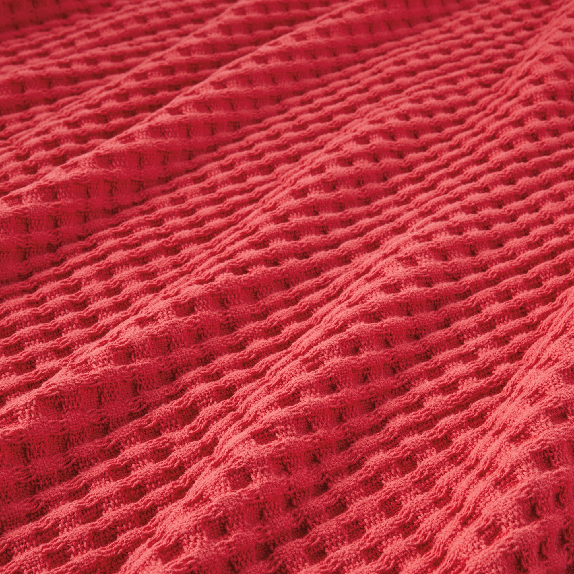Color Connection Blanket