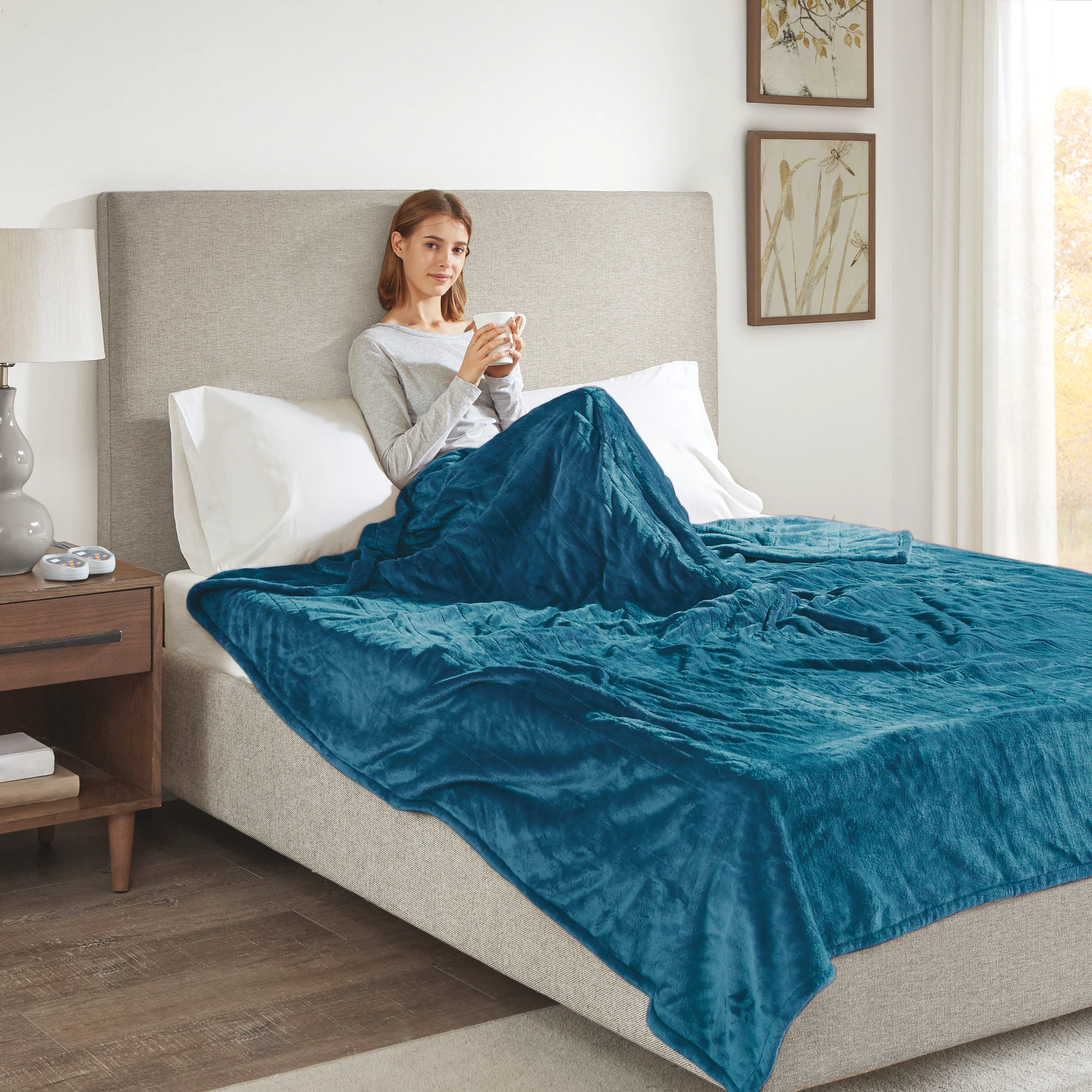 Beautyrest Plush Heated Blanket