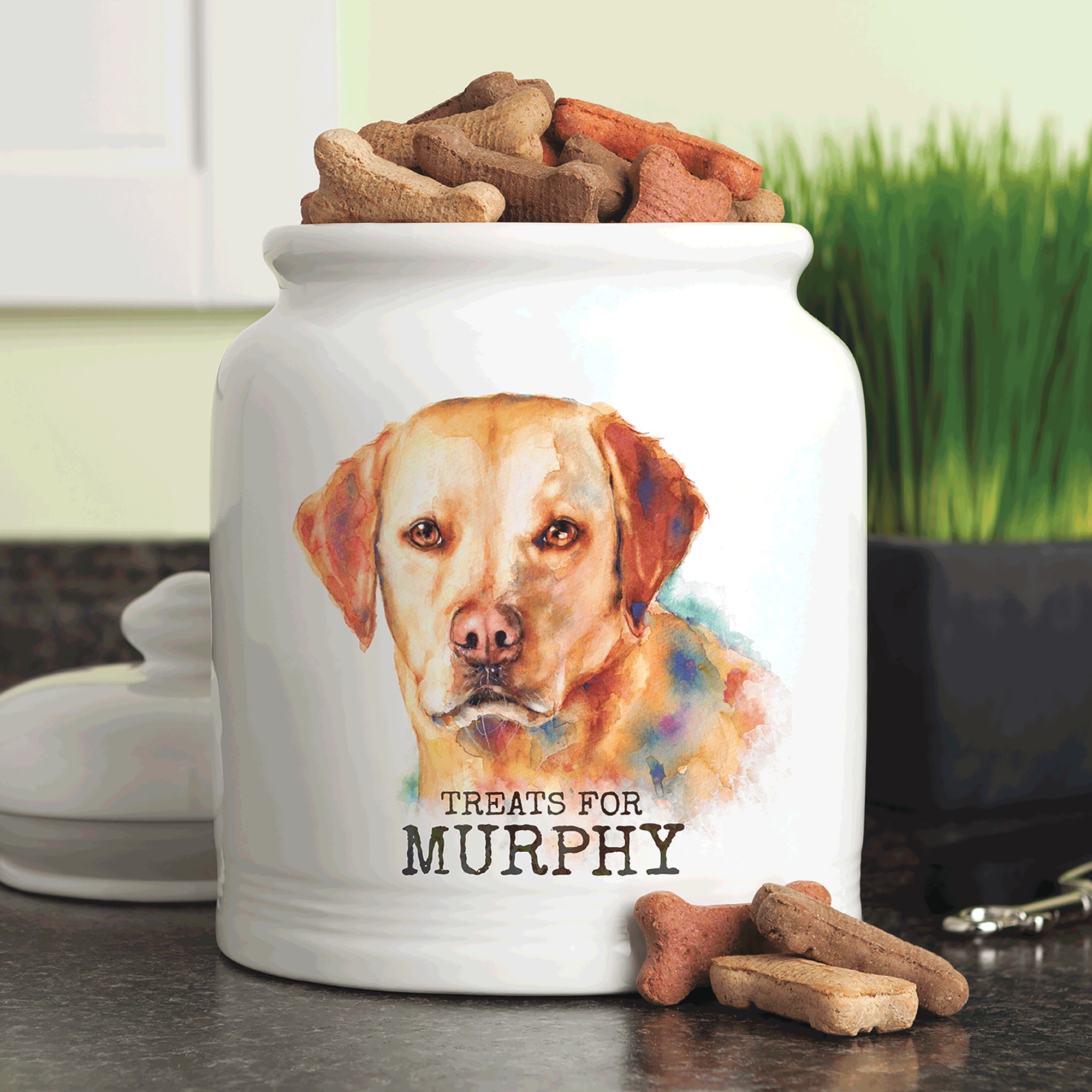 Personalized Pet Treat Jar 2 Personalized Pet Treat Jar