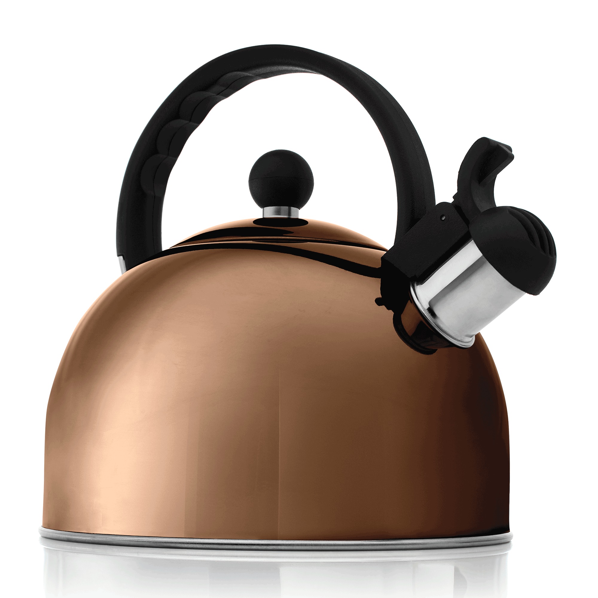 Stovetop Whistling Tea Kettle