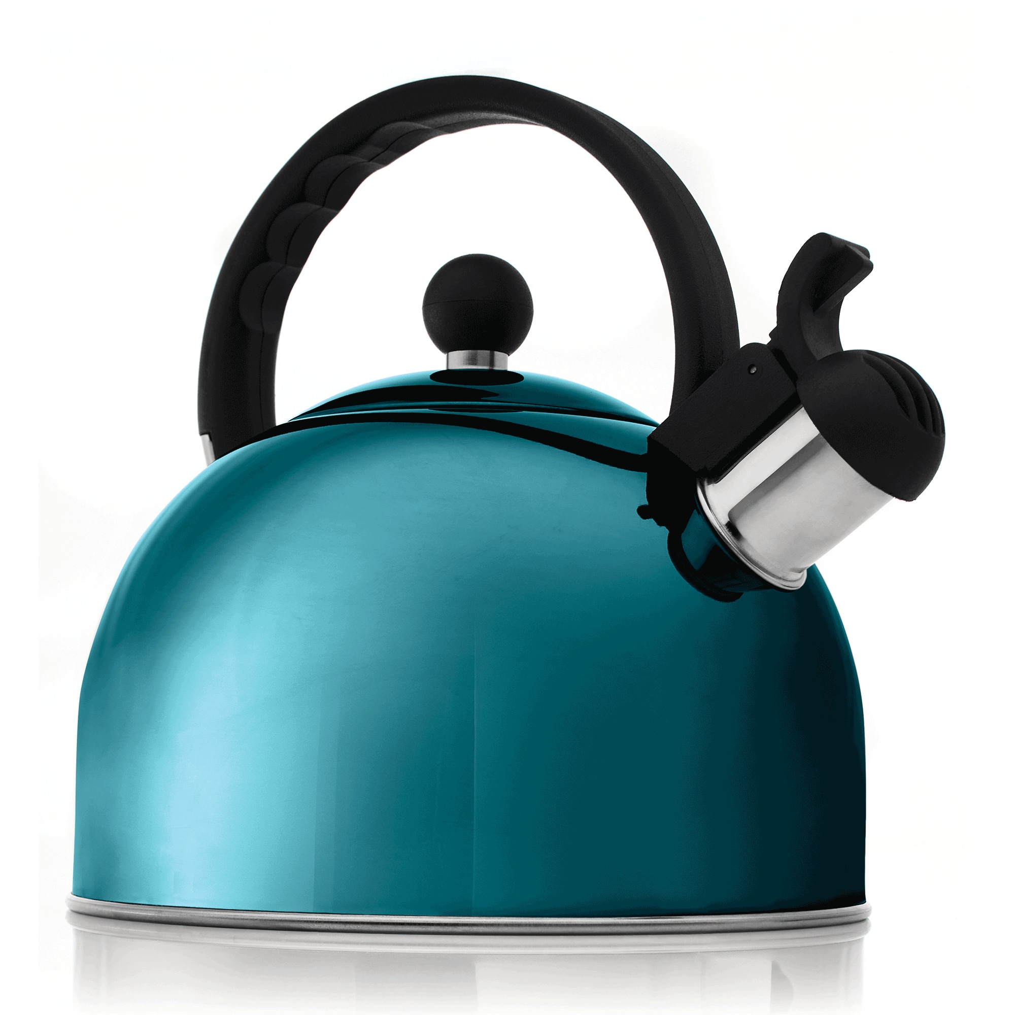 Stovetop Whistling Tea Kettle