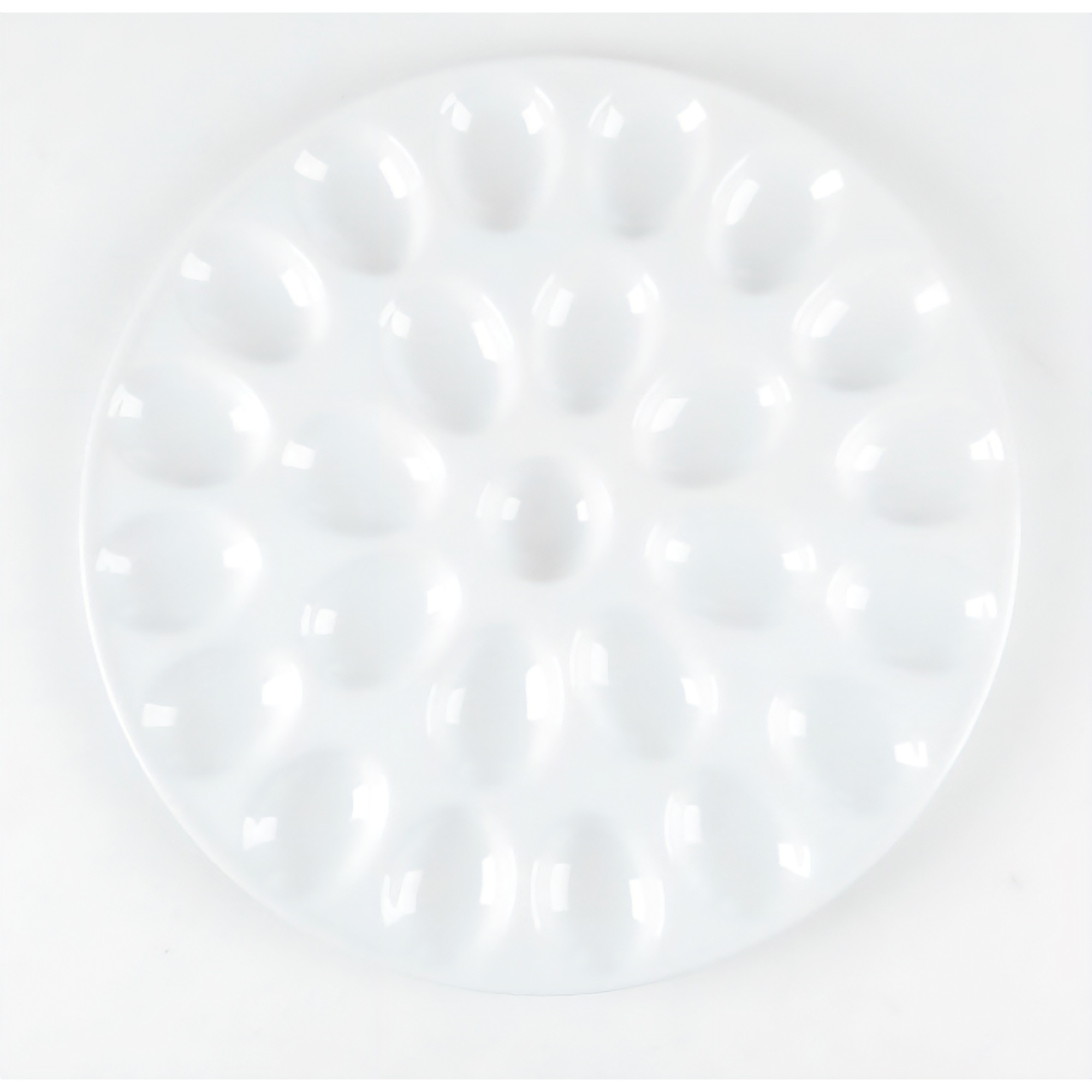 Deviled Egg Tray