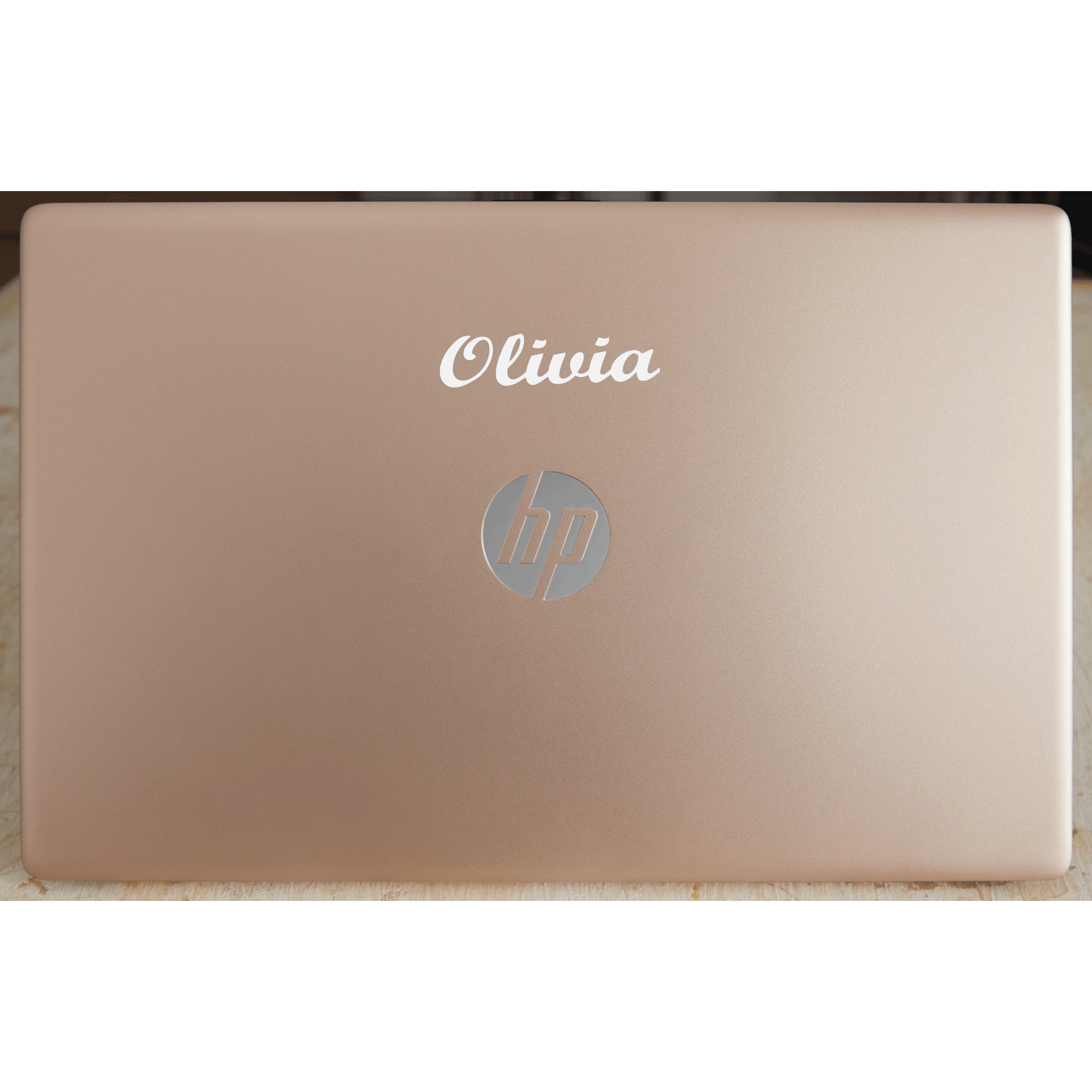HP 17.3" Laptop