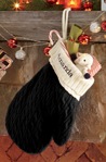 Mitten Stocking