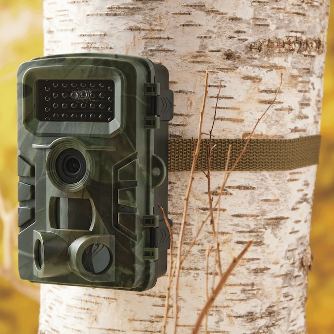 Infrared Trail Camera