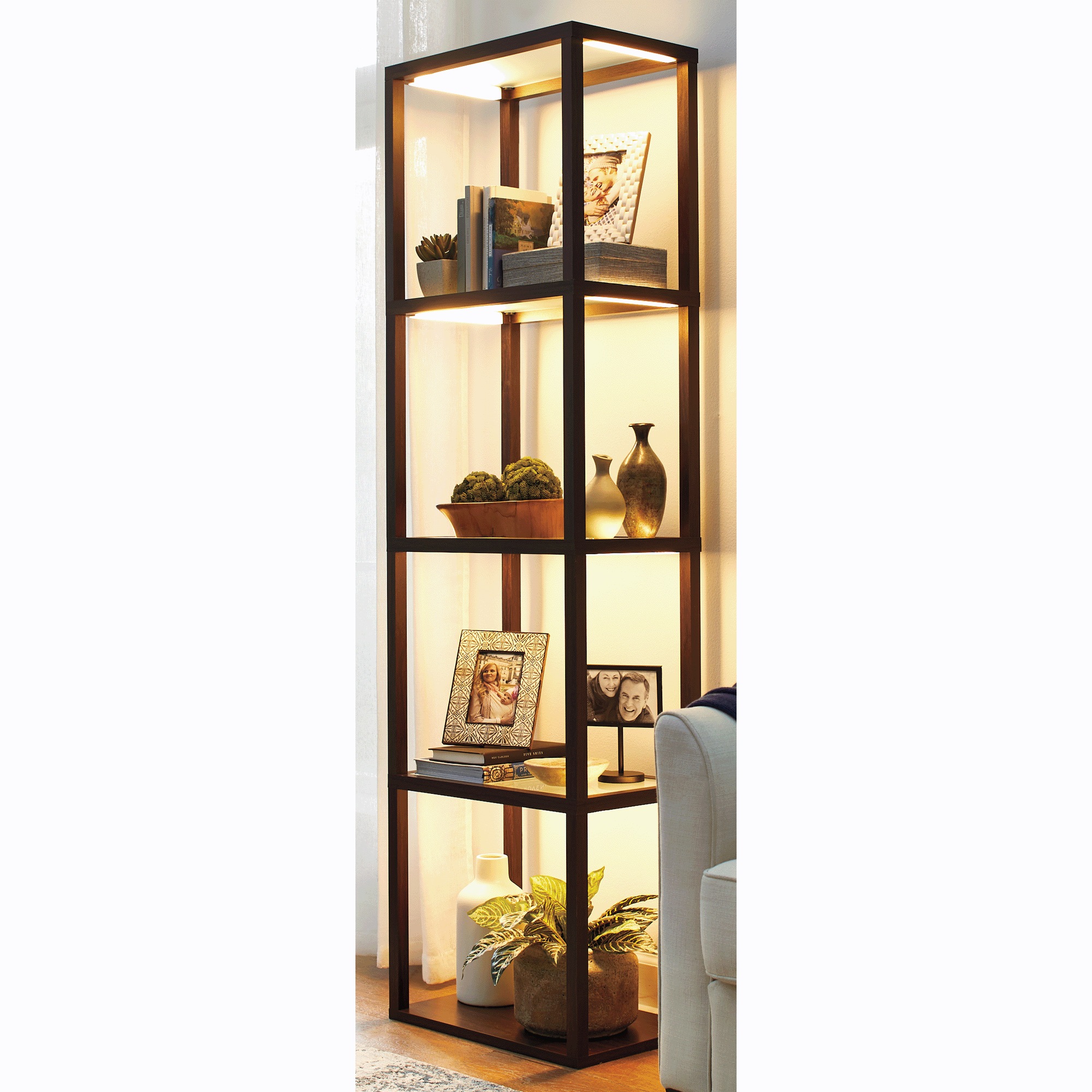 Adjustable-Lighting Display Shelf