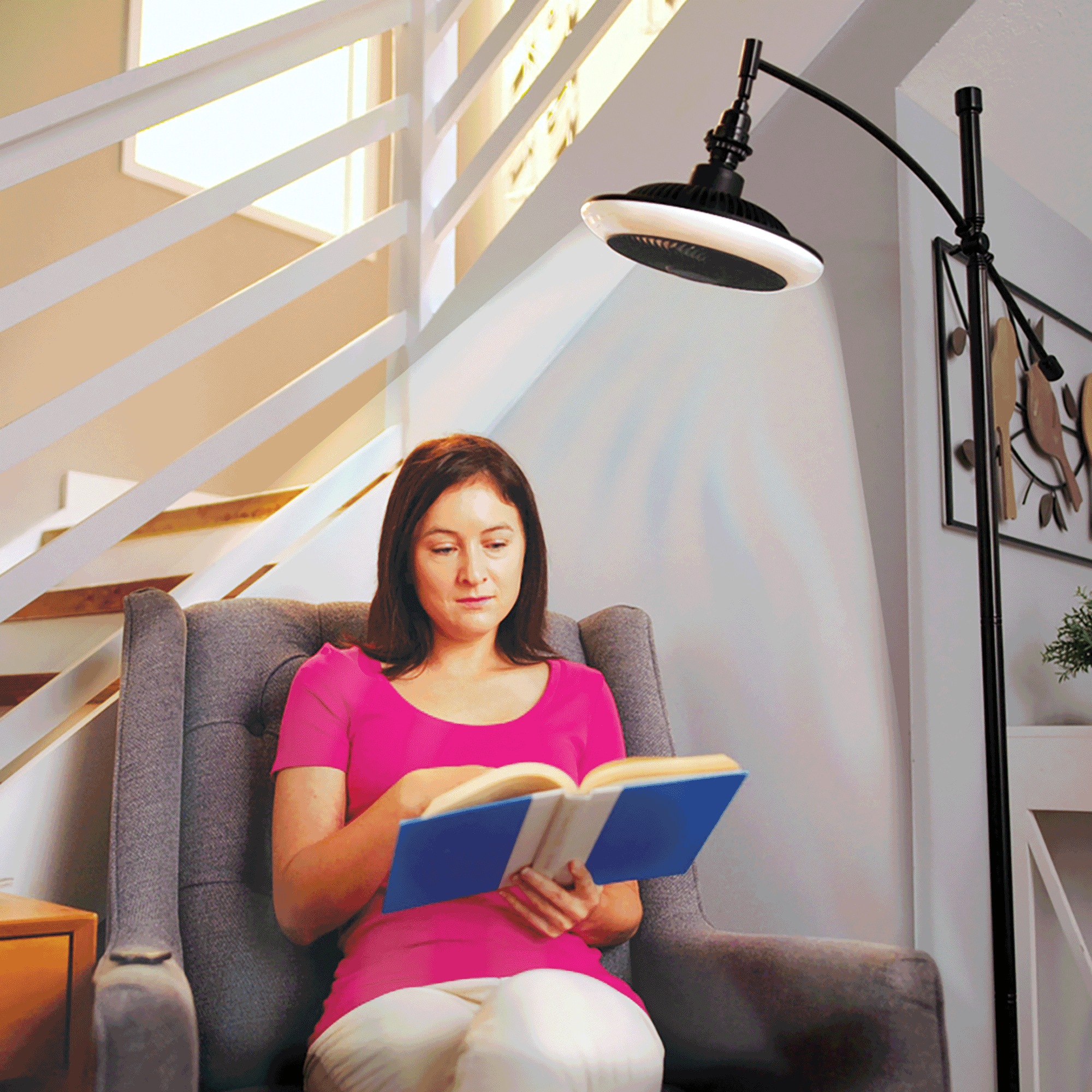 Breeze Brite Light Fan