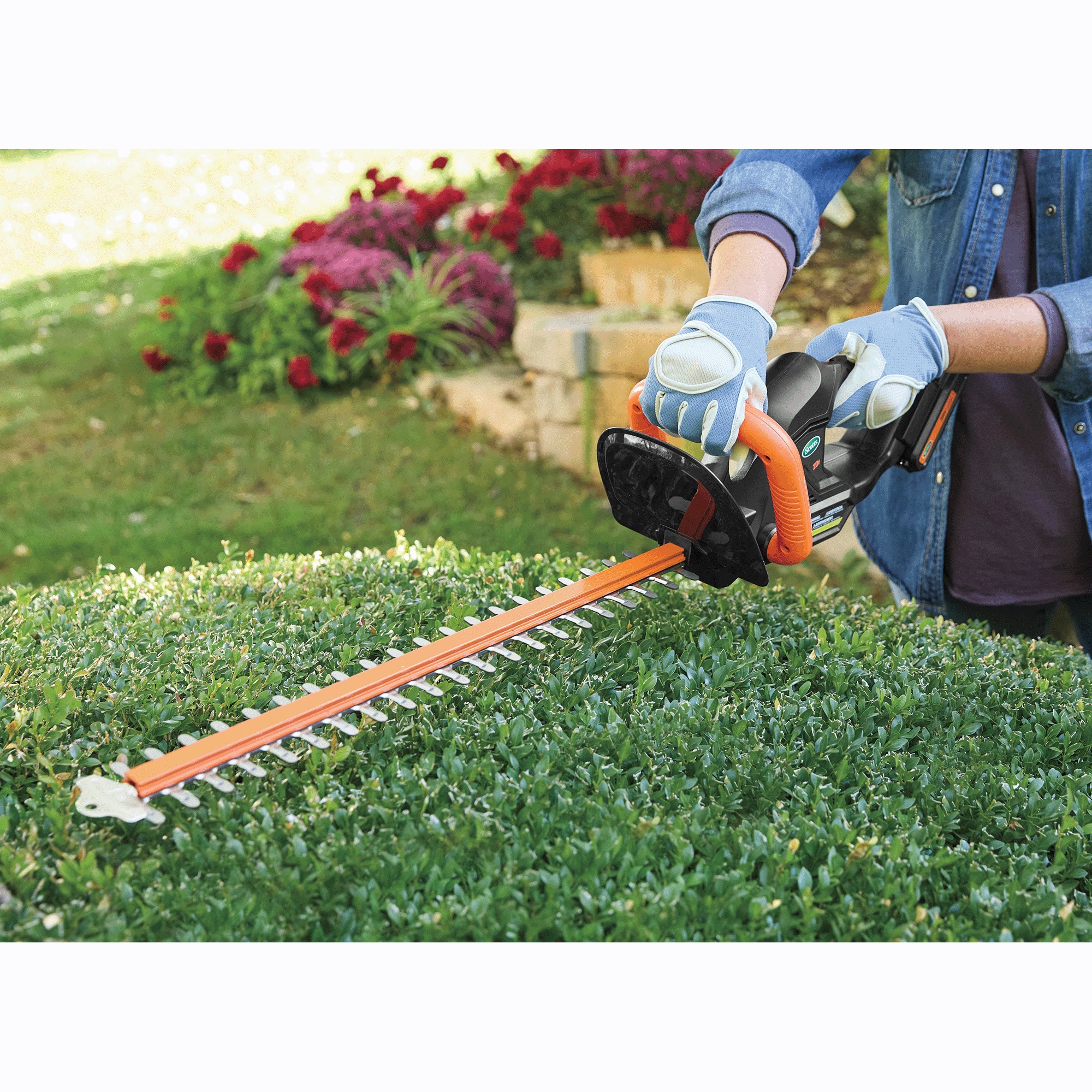 Scotts 20V Cordless Hedge Trimmer