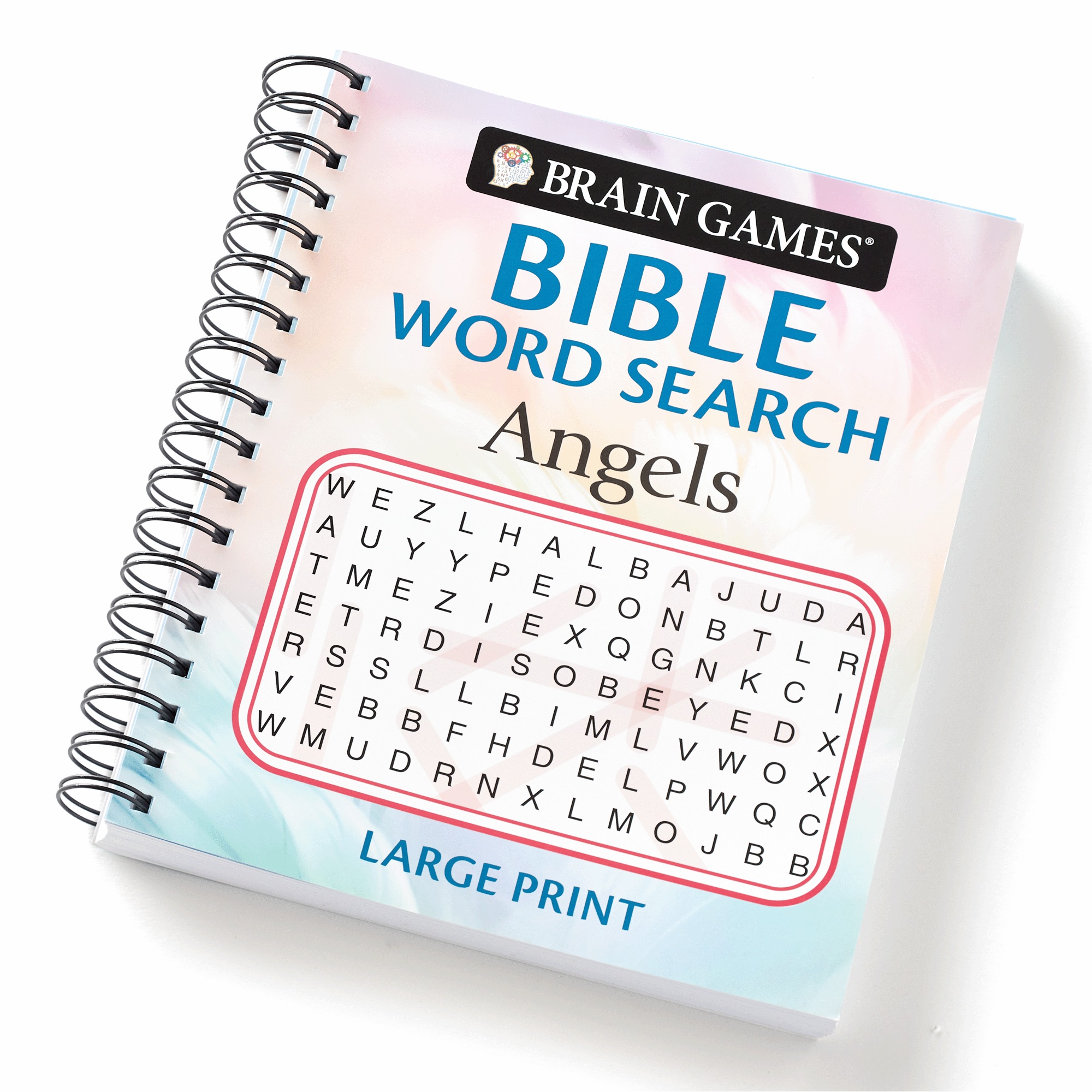 Bible Word Search Book