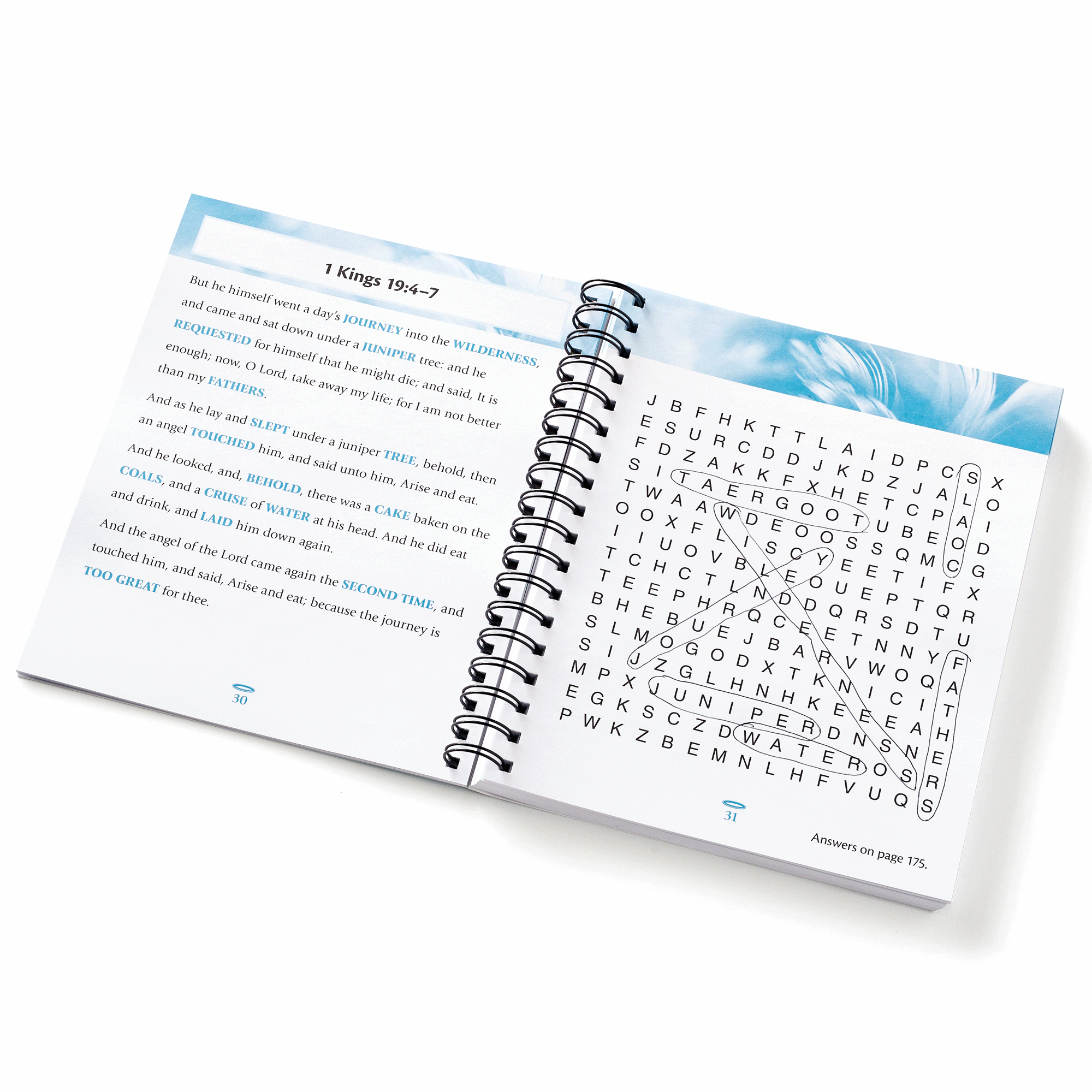 Bible Word Search Book