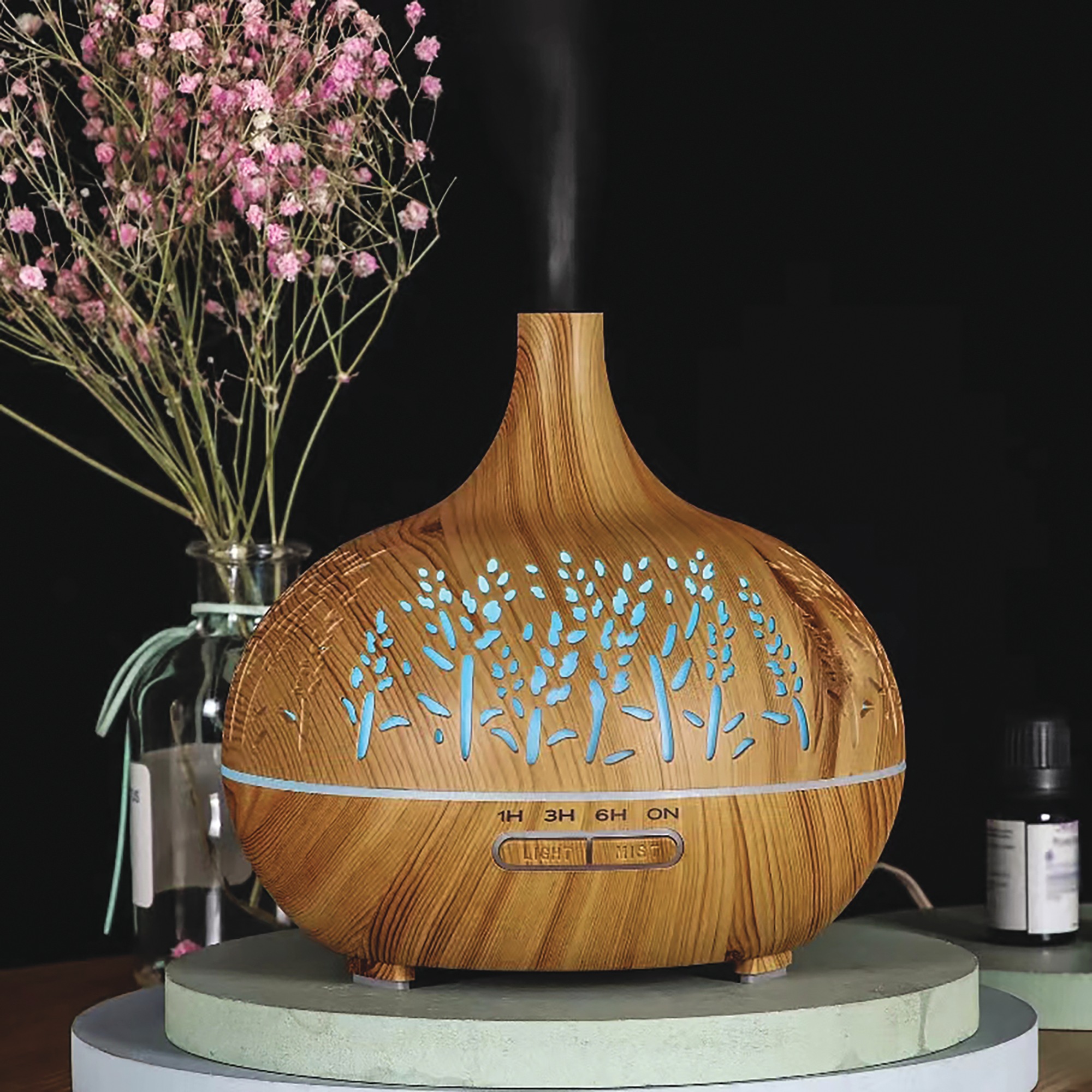 Aromatherapy Diffuser with 6 Pack of Oils