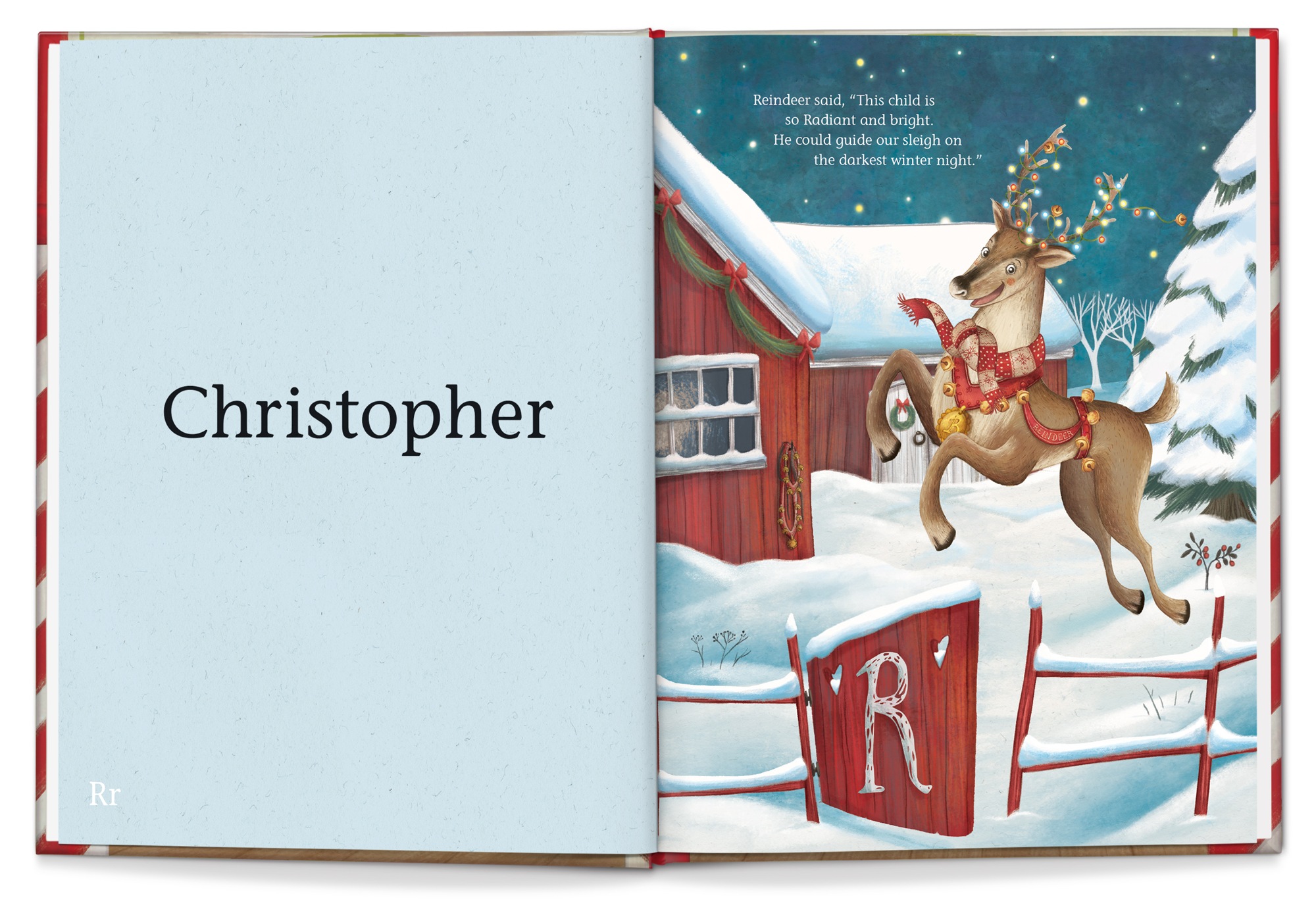 My Very Own Christmas Personalized Book