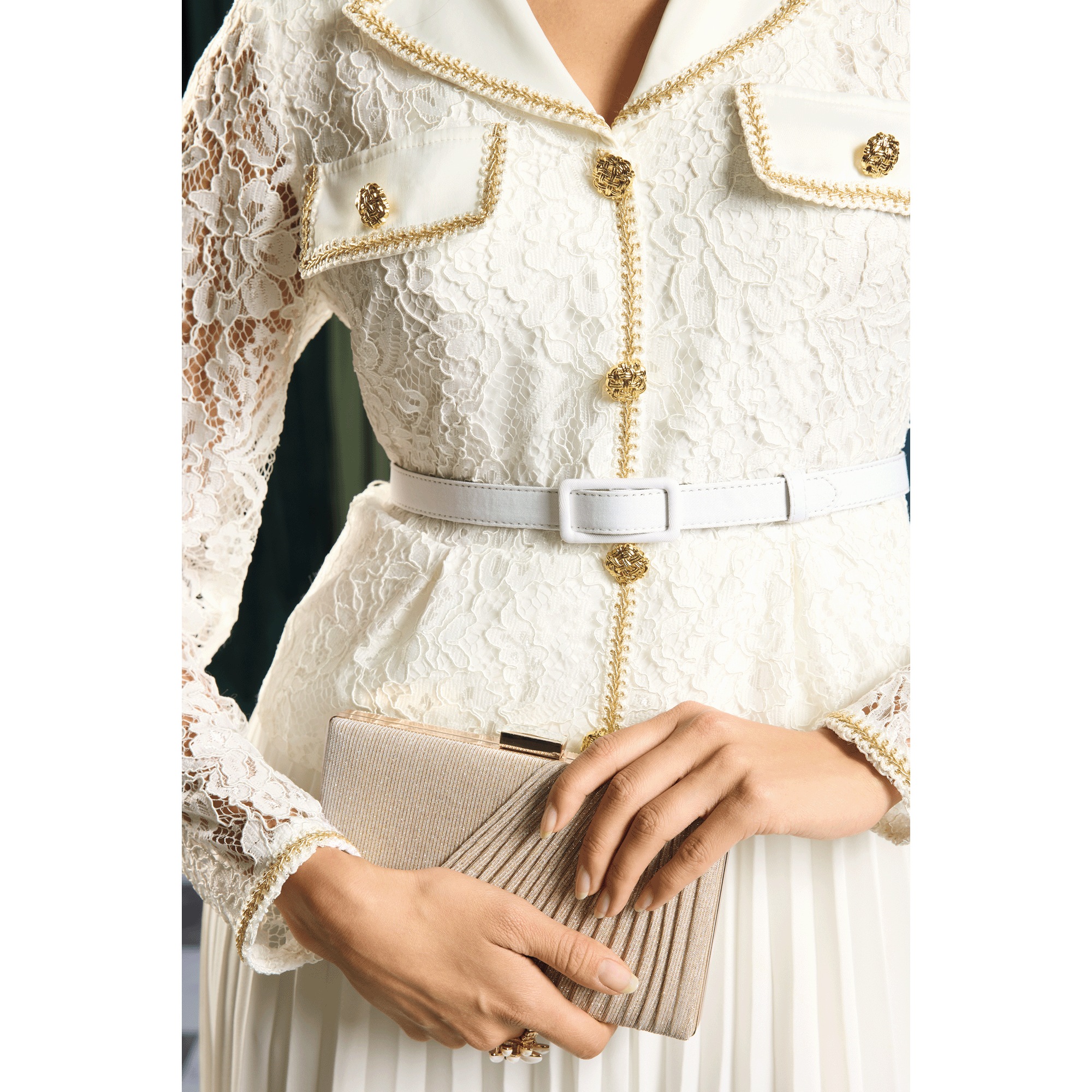 Kassidy Lace and Pleated Fit-and-Flare Dress