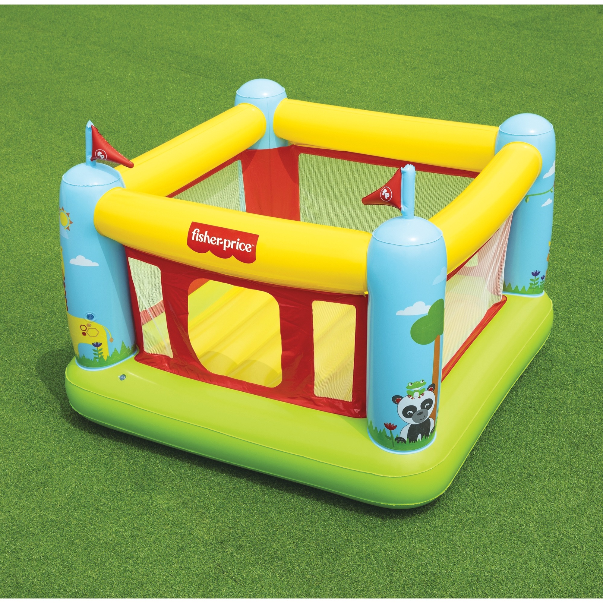 Fisher Price Bouncetastic