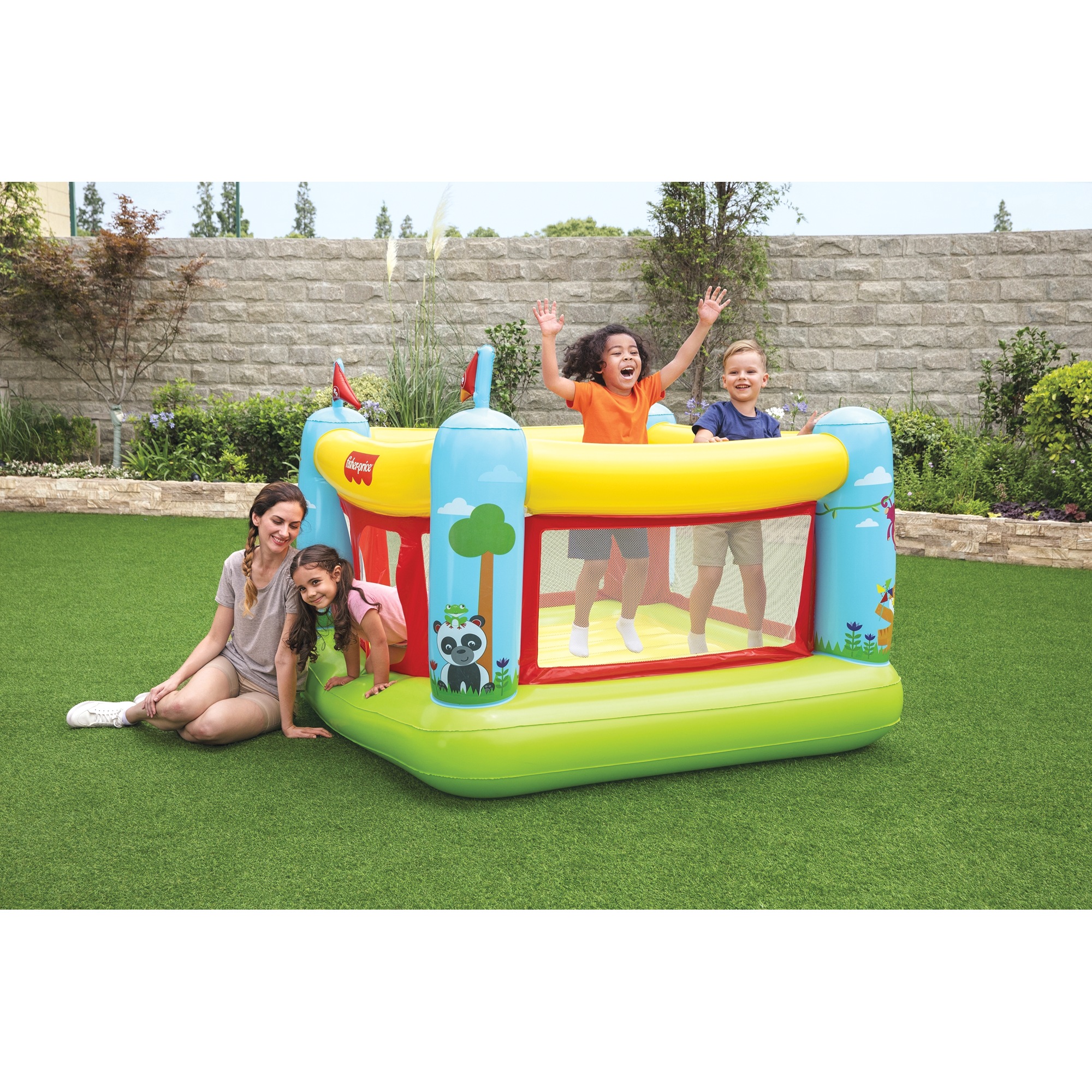 Fisher Price Bouncetastic